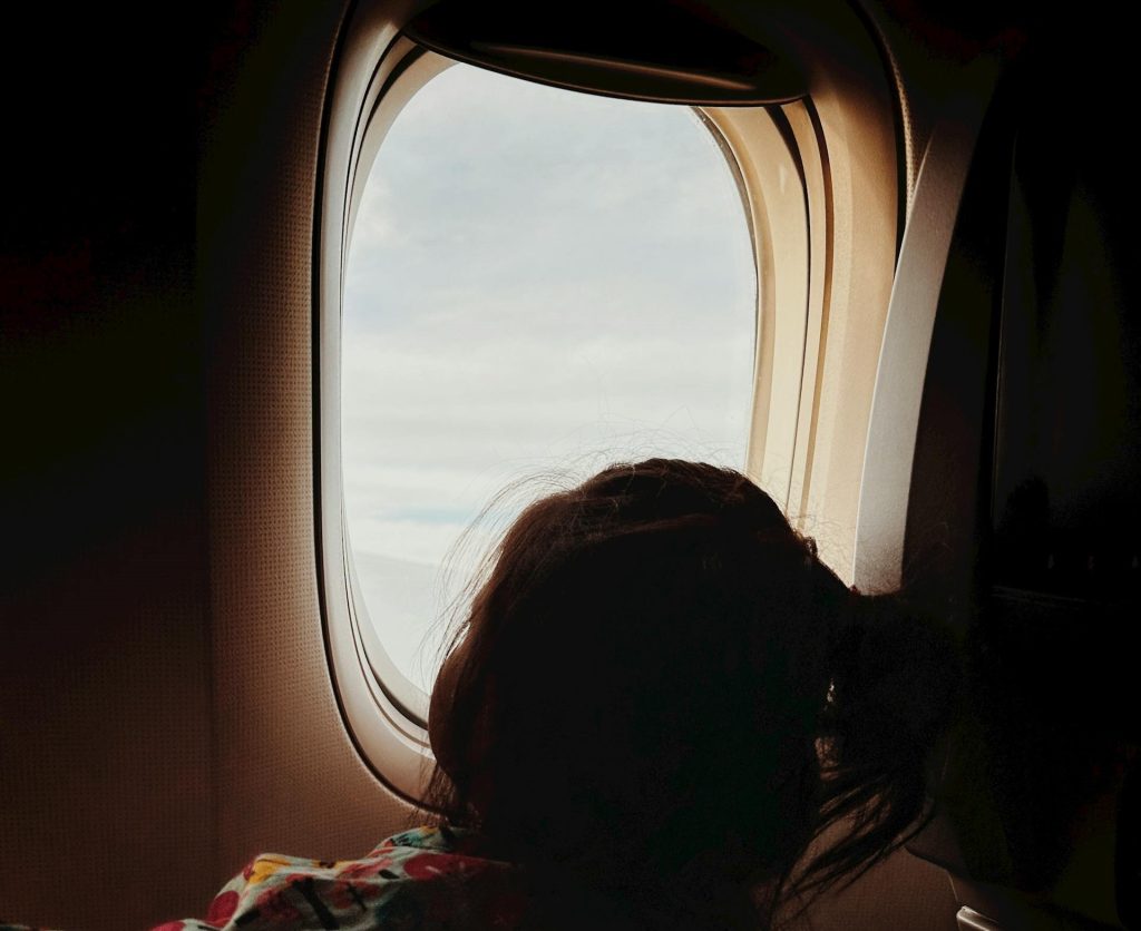 Putnik u avionu
