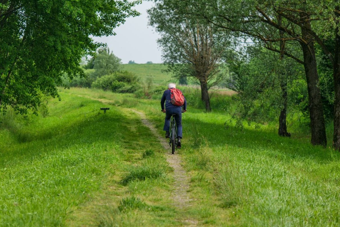 Older person cycling along a grassy rural trail lined with trees.